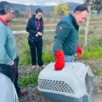 𝗥𝗘𝗦𝗖𝗔𝗧𝗘 𝗭𝗢𝗥𝗥𝗢 𝗖𝗛𝗜𝗟𝗟𝗔 𝗘𝗡 𝗖𝗢𝗟𝗔𝗕𝗢𝗥𝗔𝗖𝗜𝗢́𝗡 𝗖𝗢𝗡 𝗦𝗔𝗚