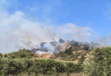 TRABAJO MANCOMUNADO PARA COMBATIR INCENDIO FORESTAL EN EL DURAZNO