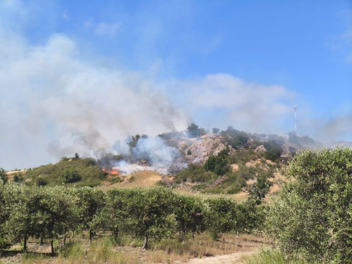 WhatsApp Image 2025-12-10 at 10.54.45