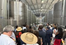 LANZAMIENTO DE ENOTURISMO SUSTENTABLE EN EL MAULE