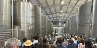 LANZAMIENTO DE ENOTURISMO SUSTENTABLE EN EL MAULE