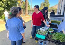 TALLER DE RECICLAJE, COMPOSTAJE Y CULTIVOS SUSTENTABLES