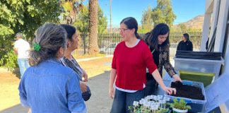 TALLER DE RECICLAJE, COMPOSTAJE Y CULTIVOS SUSTENTABLES